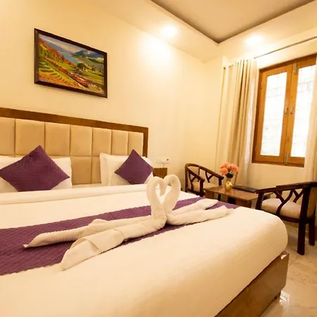 Hotel Shree Guru 3 Minute From New Delhi Railway Station